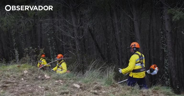 Lei de Política Criminal 2026–2028 entra em vigor e muda reinserção e policiamento