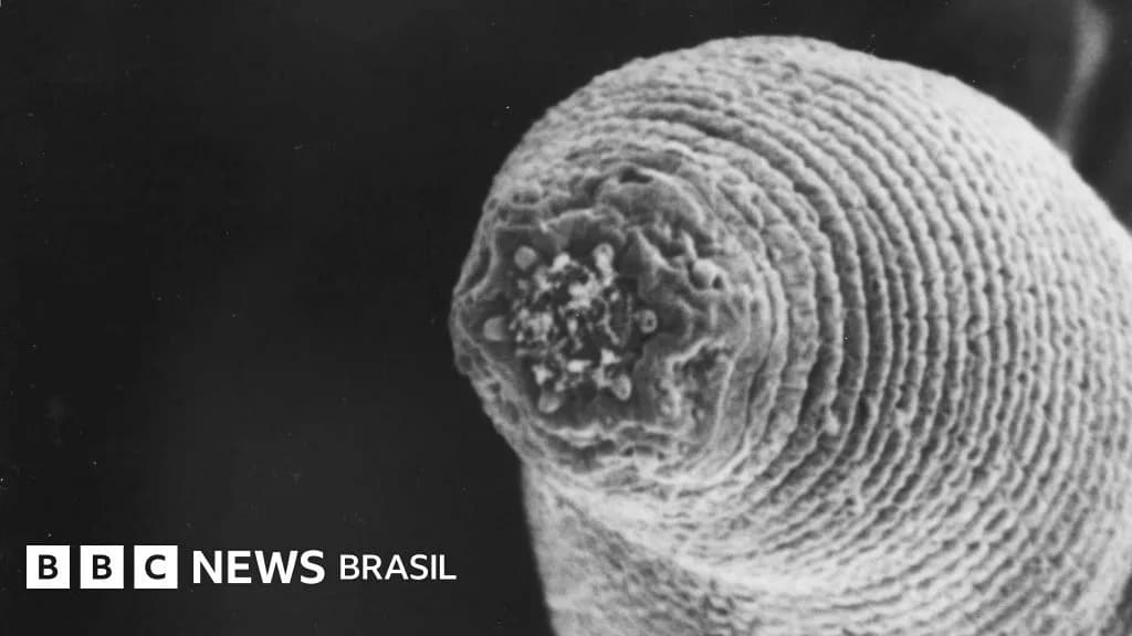 Verme-do-diabo: a vida complexa que vive a 1 km de profundidade