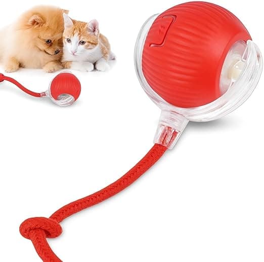 Bola Interativa de Pets com Type-C, R$12,90 na Amazon Oferta Relâmpago
