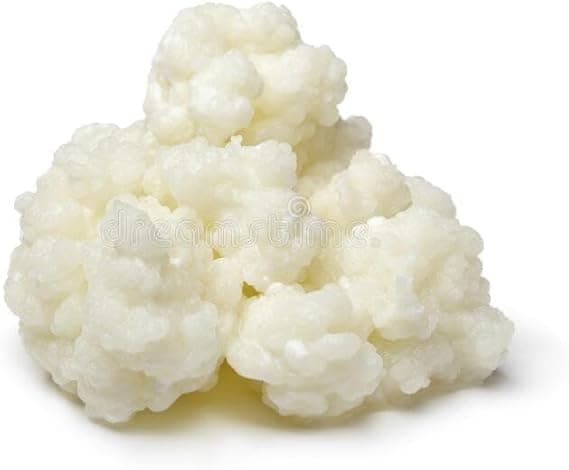 Kefir de Leite em Grãos Real com Assessoria de Cultivo — R$24,90